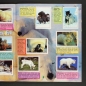 Preview: Tierebabies Panini Sticker Album