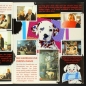 Preview: 102 Dalmatiner Panini sticker album almost complete -1