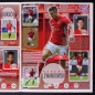 Preview: FC Bayern München 2016 Panini Sticker Album komplett