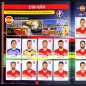 Preview: Euro 2016 Panini sticker album complete + extra