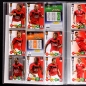 Preview: Champione League 2009 Panini Album mit 200 Trading Cards