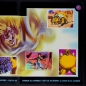 Preview: Dragon Ball GT Panini sticker album almost complete - E