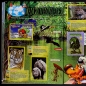 Preview: Mission Tierfreunde Panini Sticker Album komplett