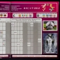 Preview: Euro 2012 Panini Sticker Album komplett