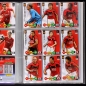 Preview: Champions League 2009 Panini Trading Cards Album