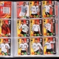 Preview: South Africa 2010 Panini 250 Trading Cards