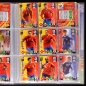 Preview: South Africa 2010 Panini 250 Trading Cards