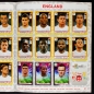 Preview: Euro 2012 Panini Sticker Album komplett - Platinum Edition