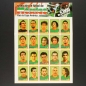 Preview: Copa America Venezuela 2007 Panini Sticker Album