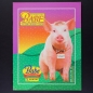 Preview: Schweinchen Babe Panini Sticker Album komplett
