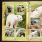 Preview: Knut Preziosi Sticker Album komplett
