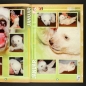 Preview: Knut Preziosi Sticker Album komplett