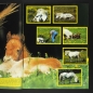 Preview: Pferde und Ponys Hobby Panini Sticker Album komplett