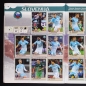 Preview: Road to Russia 2018 Panini Sticker Album komplett