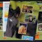 Preview: Mijn Vrienden de Paarden Panini Sticker Album komplett - NL