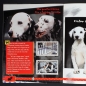 Preview: 101 Dalmatians Panini Sticker Album komplett - USA