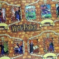 Preview: Harry Potter und die Kammer des Schreckens Panini Album