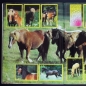 Preview: Pferde & Ponys Hobby Panini Sticker Album komplett
