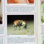 Preview: Le monde des Animaux 1970 Panini Sticker Album teilgefüllt - NL