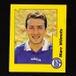 Preview: Marc Wilmots Panini Sticker No. 209 - Fußball 97