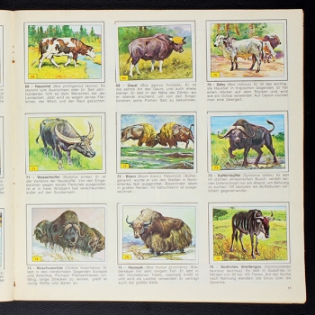 Preview: Säugetiere Panini Sticker Album komplett