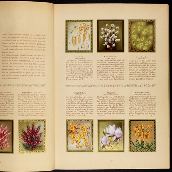 Preview: Blumen und Blütenzauber Aurelia Verlag Album komplett