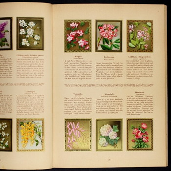 Preview: Blumen und Blütenzauber Aurelia Verlag Album komplett