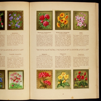 Preview: Blumen und Blütenzauber Aurelia Verlag Album komplett