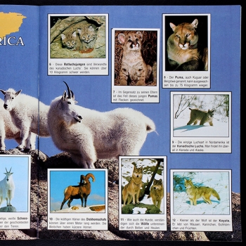 Preview: Animals Panini Sticker Album komplett