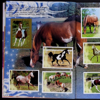 Preview: Hoch zu Ross Panini Sticker Album komplett