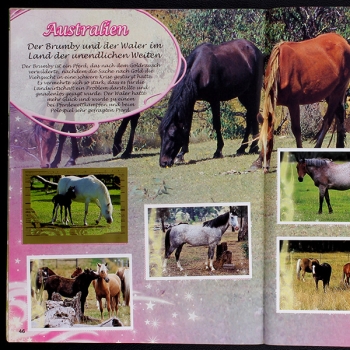 Hoch zu Ross Panini Sticker Album komplett