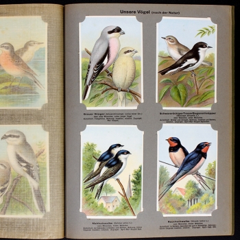 Unsere Vögel 2 Kaisers Gmbh collection album complete