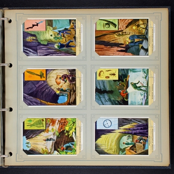 Liebig Cromos Album with 49 series