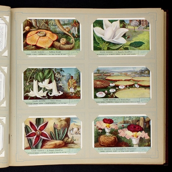 Liebig Cromos Album with 50 series