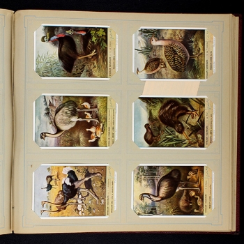 Liebig Cromos Album with 50 series