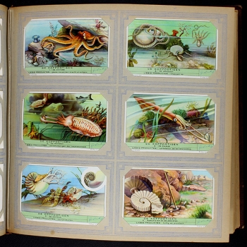 Preview: Liebig Cromos Album mit 50 Serien - NL