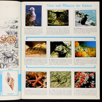 Preview: WWF Bedrohte Natur Panini Sticker Album komplett