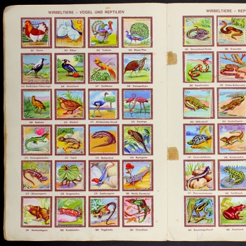 Preview: Die schönsten Tiere Sicker Verlag Album komplett