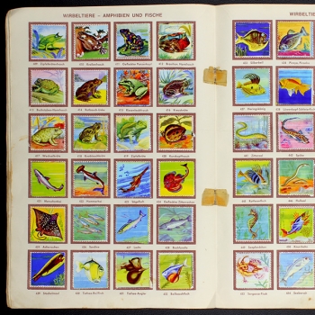 Die schönsten Tiere Sicker Verlag Album komplett