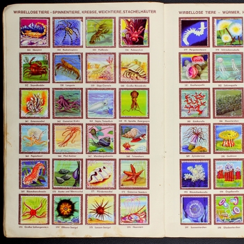 Die schönsten Tiere Sicker Verlag Album komplett