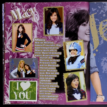 Preview: Jonas Panini sticker album complete