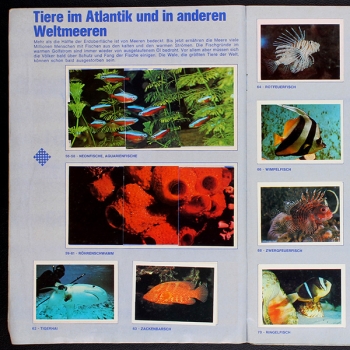 Preview: Prof. Grzimek Americana Sticker Album fast komplett