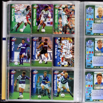 Fußball 95 Panini Trading Cards Album fast komplett