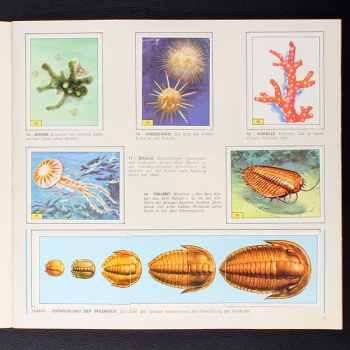 Preview: Tiere der Urzeit Panini Sticker Album teilgefüllt