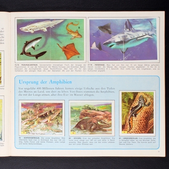 Preview: Tiere der Urzeit Panini Sticker Album teilgefüllt