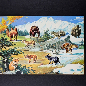 Super Zoo Panini album with stickers -11