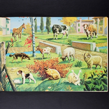 Super Zoo Panini album with stickers -11