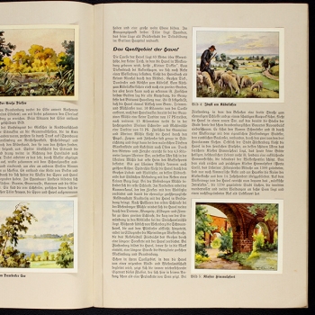 Preview: Die Havel unser Heimatfluß 1938 Spandauer Zeitung Album komplett