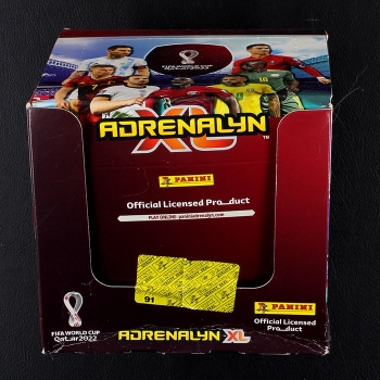 Qatar 2022 Panini Trading Cards Box