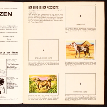 Preview: Hunde und Katzen Americana Sticker Album teilgefüllt